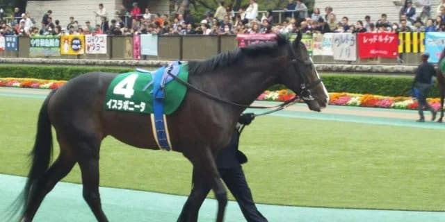 【マイラーズC予想2017】勝ち切れないイスラボニータもう銀メダルはいらない！