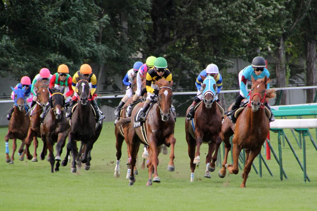 【金鯱賞予想2018】今年は9頭立て？スローの瞬発力勝負が濃厚か？