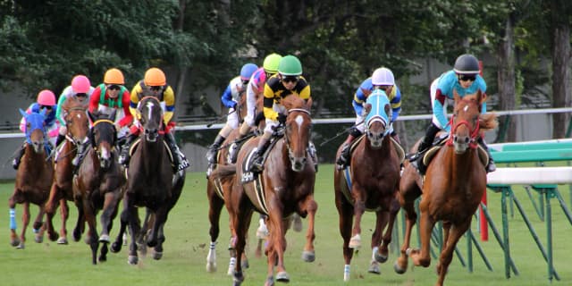 【金鯱賞予想2018】今年は9頭立て?スローの瞬発力勝負が濃厚か?