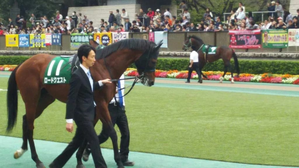 【パラダイスS予想2017】本賞金加算が欲しいグランシルク、立ちはだかるロードクエスト