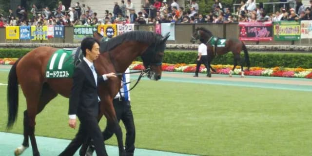 【パラダイスS予想2017】本賞金加算が欲しいグランシルク、立ちはだかるロードクエスト