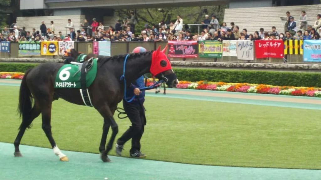 中京記念(2017)の予想！本命は去年負けた“あの馬”？敗戦の悔しさ払拭へ！