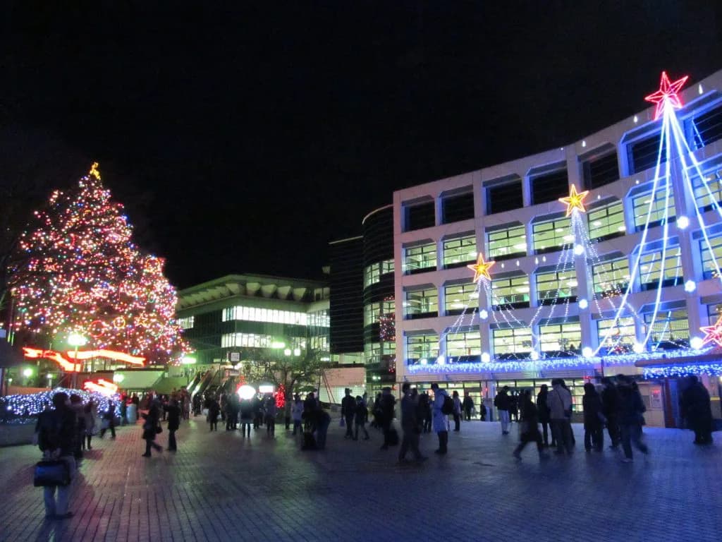 冬の風物詩、中山競馬場イルミネーション