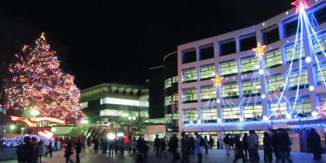 冬の風物詩、中山競馬場イルミネーション