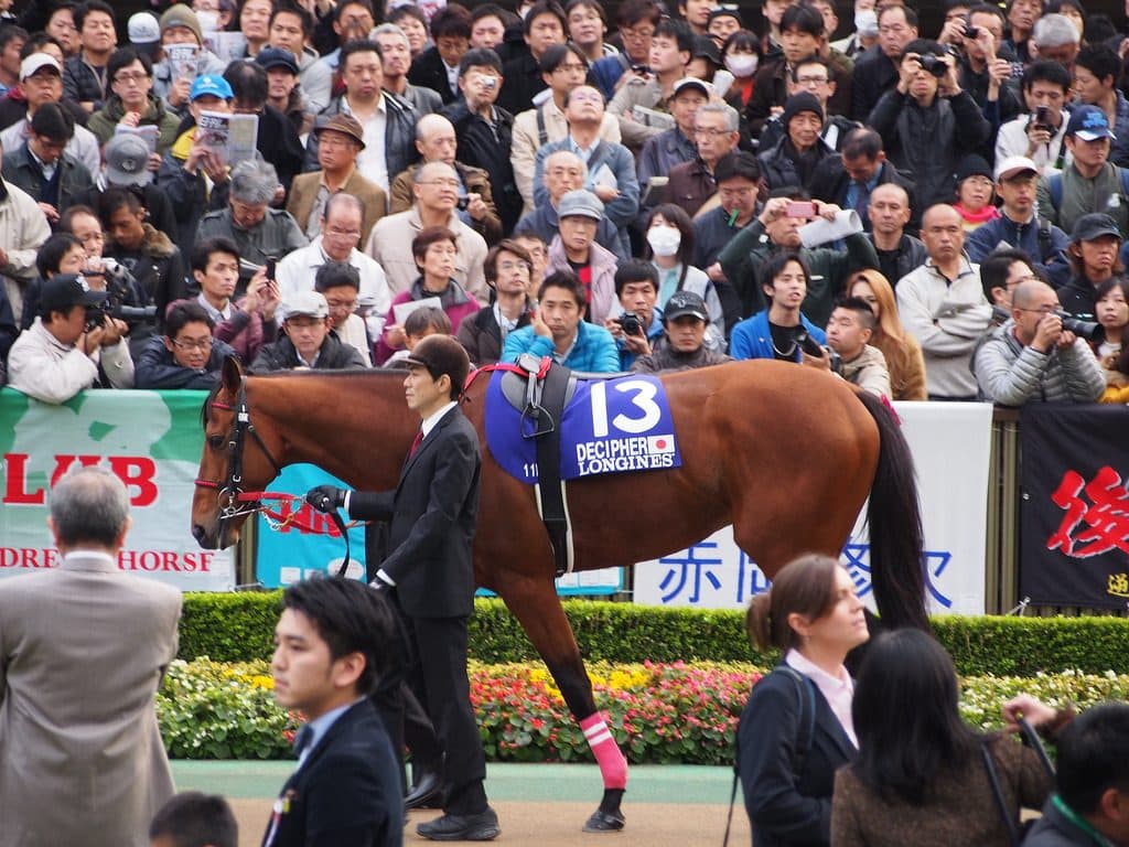 【チャレンジC予想2016】1800mは今年で最期、牝馬の逃げで波乱も・・・？