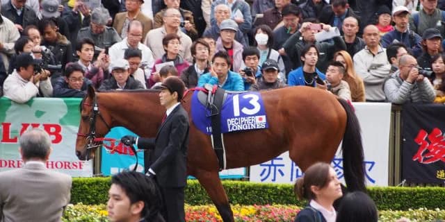 【チャレンジC予想2016】1800mは今年で最期、牝馬の逃げで波乱も・・・？