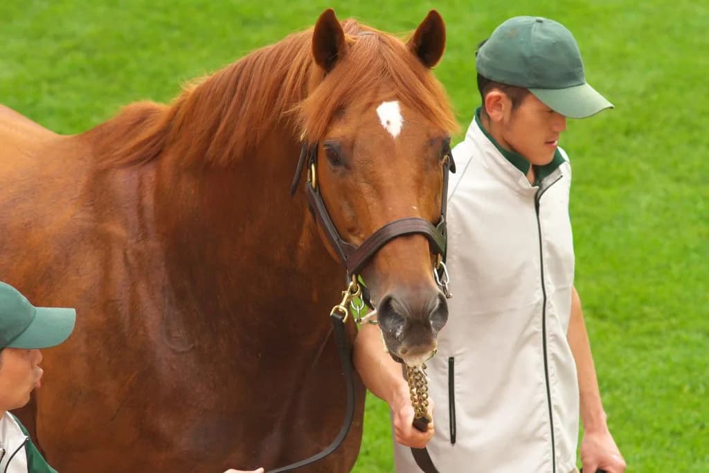 “不死鳥”グラスワンダー、種牡馬を引退。血は受け継がれていく