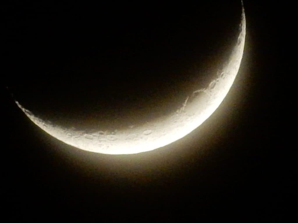 【カペラS予想2016】中山ダートの申し子キタサンミカヅキに初重賞の大チャンス到来！