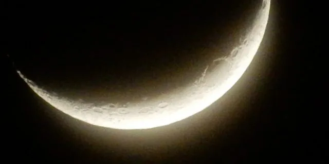 【カペラS予想2016】中山ダートの申し子キタサンミカヅキに初重賞の大チャンス到来！