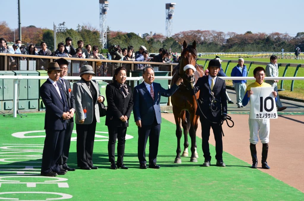 生んだ仔がすべてJRAで勝利、かつ重賞勝ち馬も複数輩出している怪物繁殖牝馬
