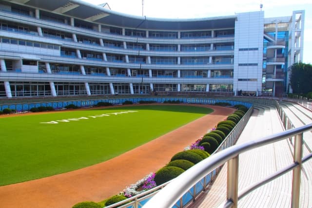 【カペラS予想2016】荒れるダートスプリント、注目の穴馬3頭をピックアップ！