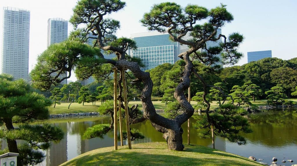 【黒松賞2016予想】抜けた馬がいない時の馬券の買い方