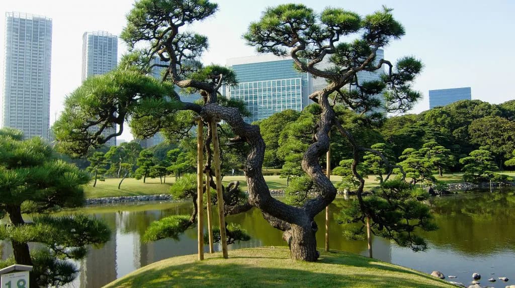 【黒松賞2016予想】抜けた馬がいない時の馬券の買い方