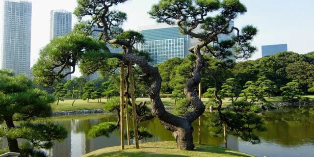 【黒松賞2016予想】抜けた馬がいない時の馬券の買い方