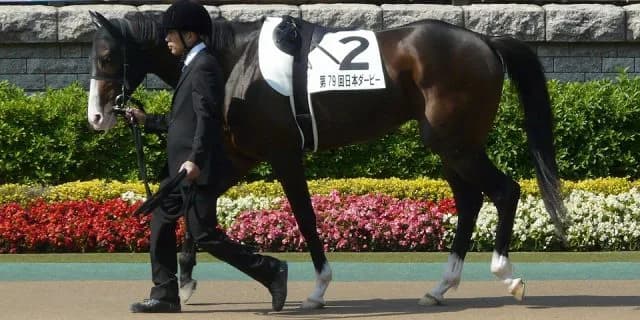 【チャレンジC予想2016】ヒストリカル4度目リピート