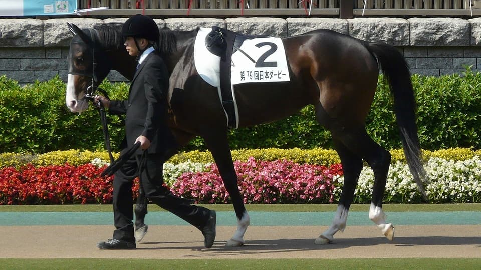 【チャレンジC予想2016】ヒストリカル4度目リピート