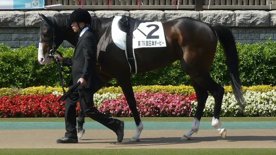 【チャレンジC予想2016】ヒストリカル4度目リピート