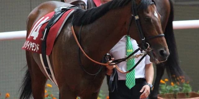 【有馬記念2016予想】今年はあの実力馬が復活し大波乱に？！上位人気を破るのはこの馬しかいない！
