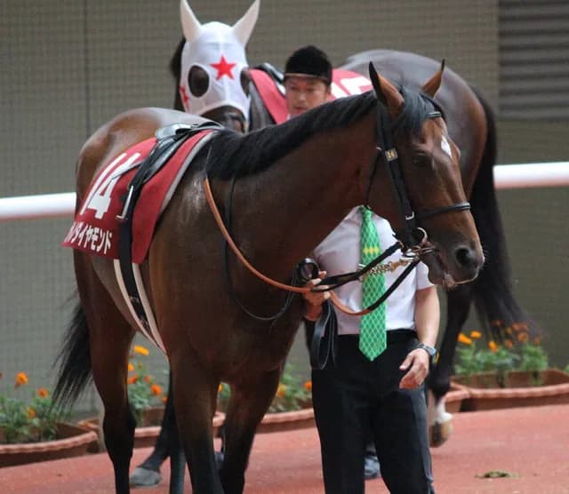 【有馬記念2016予想】今年はあの実力馬が復活し大波乱に？！上位人気を破るのはこの馬しかいない！