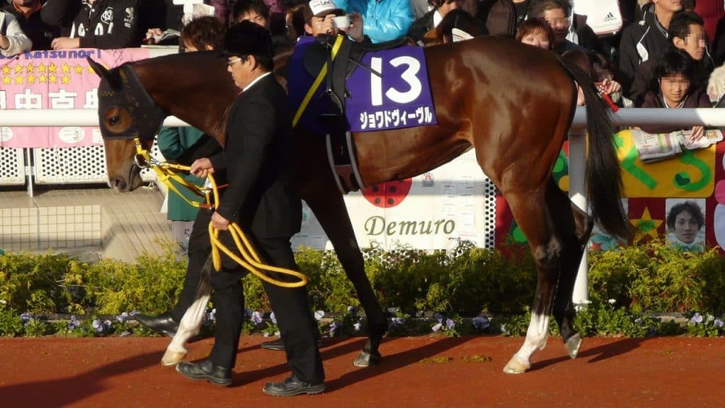 【栄光の瞬間】第63回阪神ジュベナイルフィリーズ Joie de possibilités infinies