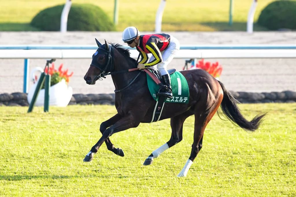 【朝日杯FS予想2016】ミスエルテ36年ぶりの快挙を見据える