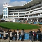 【オーシャンステークス予想2026】G1高松宮記念へのステップ！ママコチャやファンダムなど出走予定馬を考察