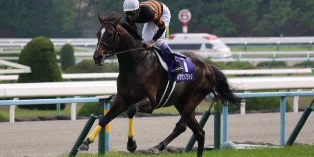 「2016年度JRA賞」決定！キタサンブラックは年度代表馬に！最優秀4歳以上牡馬を受賞！