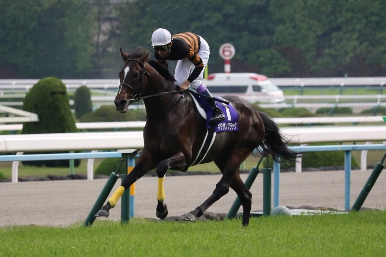 「2016年度JRA賞」決定！キタサンブラックは年度代表馬に！最優秀4歳以上牡馬を受賞！