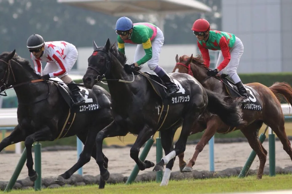 【朝日杯FS予想2016】武豊の前にデムーロがまた立ちはだかるか？