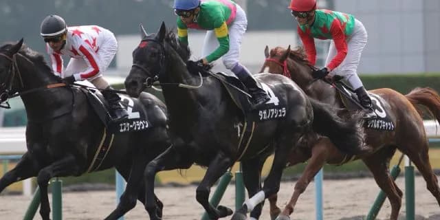 【朝日杯FS予想2016】武豊の前にデムーロがまた立ちはだかるか？