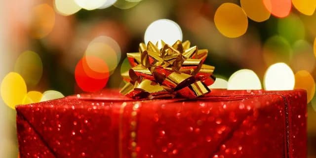 クリスマスプレゼントを有馬記念でゲット！！