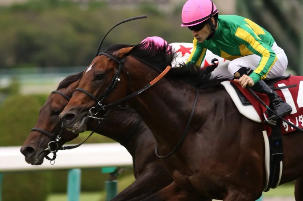 【有馬記念2016結果】今後もサトノ陣営の快進撃は続くか？