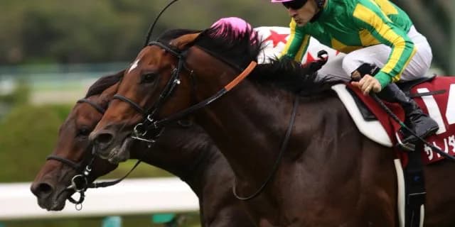 【阪神大賞典2017予想】最強サトノダイヤモンドを振り切るのは意外性のスピリッツミノルか？