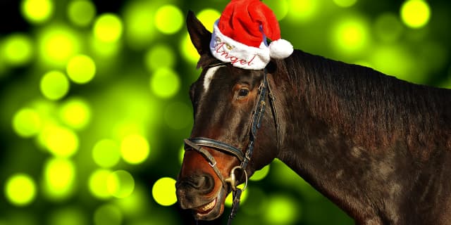 【有馬記念2016予想】今年はX'mas有馬！3億円を手にするのは一体どの馬だ？
