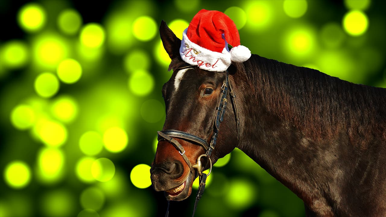 【有馬記念2016予想】今年はX'mas有馬！3億円を手にするのは一体どの馬だ？