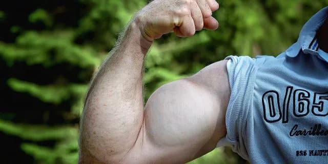 【こうやまき賞】能力断然ペルシアンナイト！！