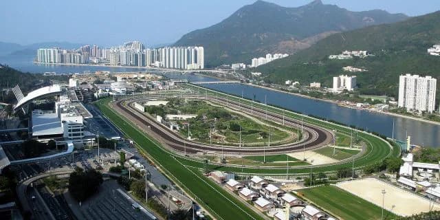 【香港ヴァーズ2017予想】ワンパンチ足りないこの馬もこの騎手でなら！