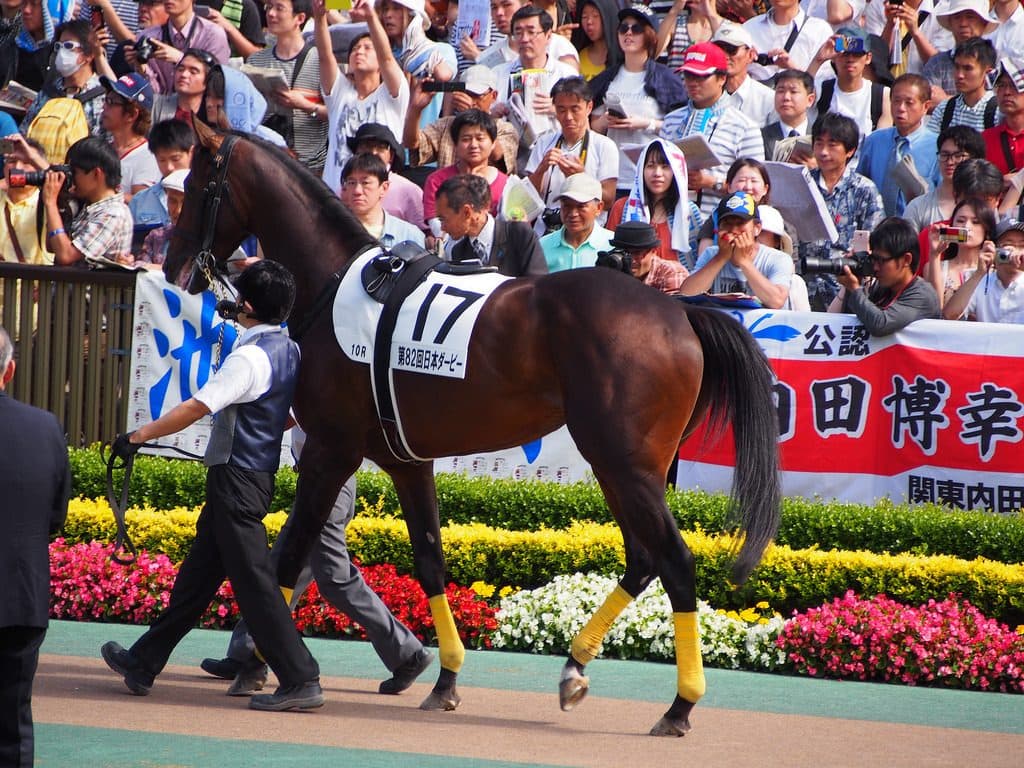 ますます楽しみなキタサンブラックの今後