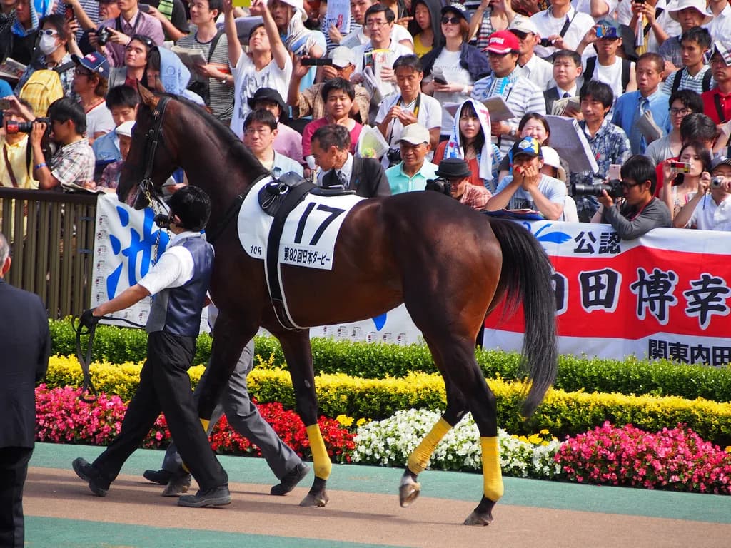 キタサンブラック、ドバイへは行かず。大阪杯、天皇賞春、宝塚記念の国内G1に専念