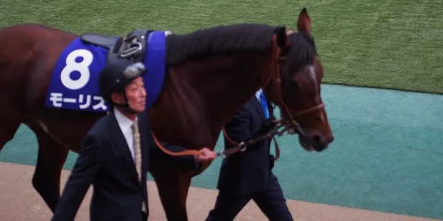 モーリス、無事スタッドイン。産駒デビューは2020年予定