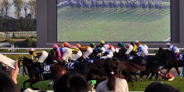 【京都新聞杯2017予想】インヴィクタ、ダービーへ弾みをつけたい