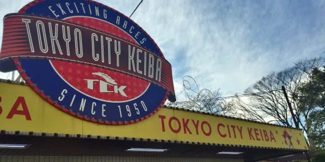 【東京大賞典予想2017】本当に今年最後のG1はこのレース！ラストを飾るのは一体どの馬だ？