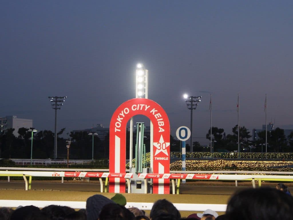 東京大賞典2018の出走予定馬は？オメガパフュームなど有力馬多数