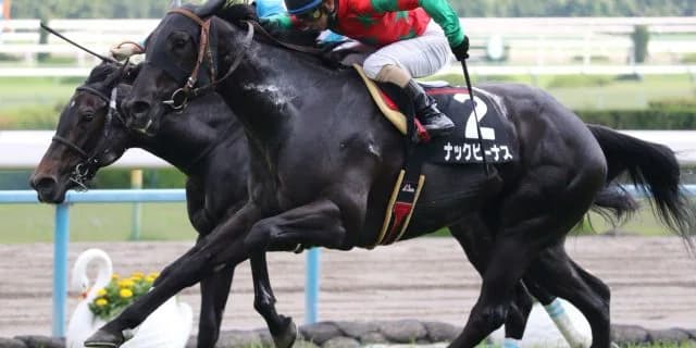 【オーシャンS予想2019】昨年2着のナックビーナス、本番を見据えつつ結果も残せるか？