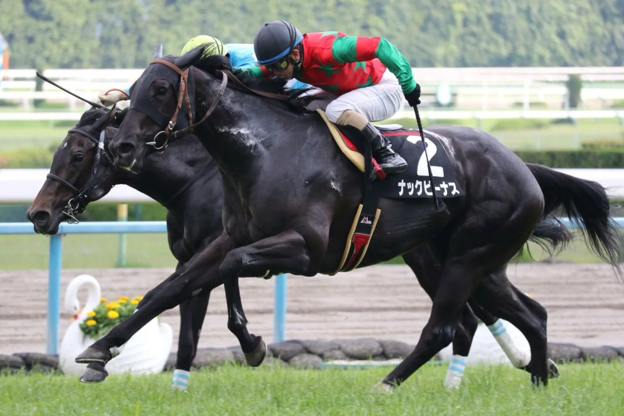 【オーシャンS予想2019】昨年2着のナックビーナス、本番を見据えつつ結果も残せるか？