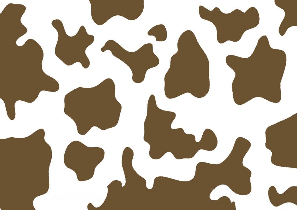 ブチコの今後は？ツイッターのフォロワー5000人超えの異例の”アイドルホース”の行方