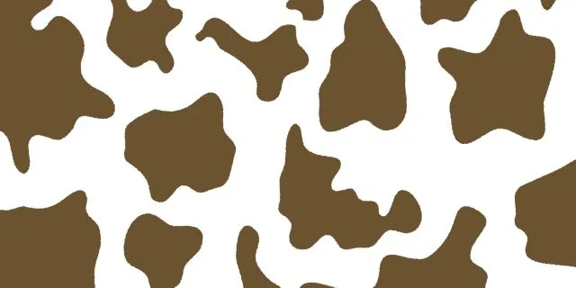 ブチコの今後は？ツイッターのフォロワー5000人超えの異例の”アイドルホース”の行方