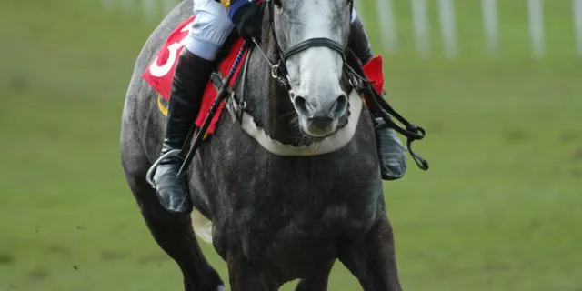 落馬した時、ジョッキーは何を思うのか？