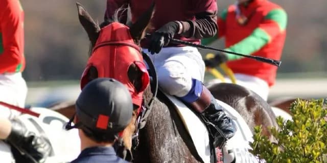 2年目の藤田菜七子騎手