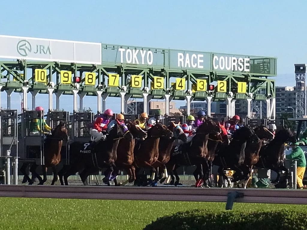 【日本ダービー2017予想】絶好の枠順に入ったのは皐月賞組の”2頭”！大外のアドミラブルは割り引かざるを得ないか？